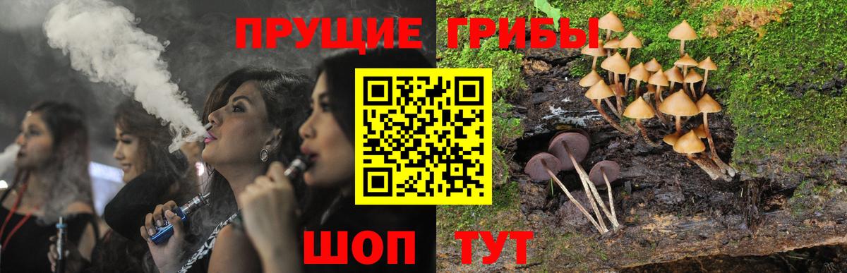 Псилоцибиновые грибы Psilocybe  Вход с VPN  Кашира 