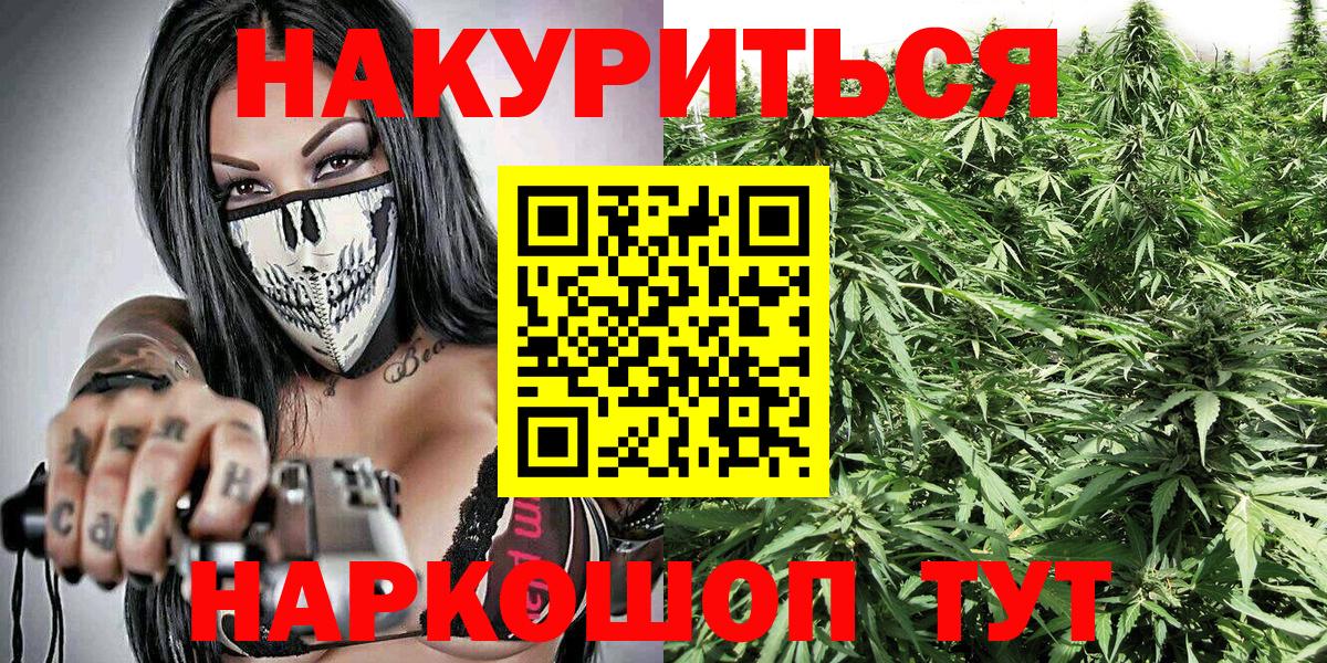 Шишки марихуана план  Канабис план  Кашира  Вход с VPN 